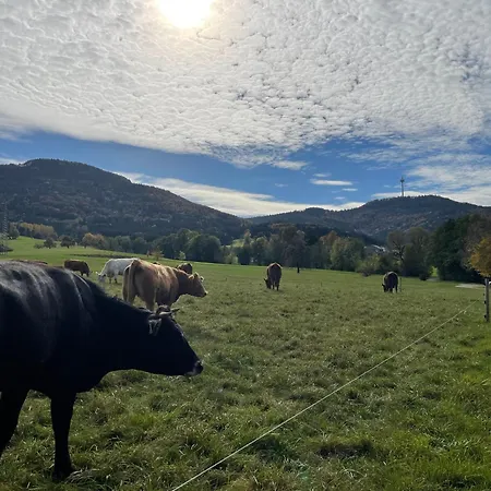 Fewo Am Ortsrand Von Rosswangen Balingen Exterior foto