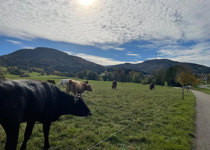 Fewo Am Ortsrand Von Rosswangen